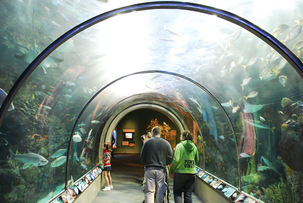 Audubon aquarium2.jpg