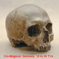 Cro-Magnon.jpg