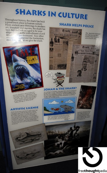 File:Sharks in culture.jpg