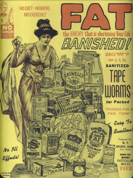 File:Tapeworms.jpg